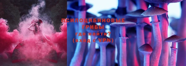 PSILOCYBIN Бородино