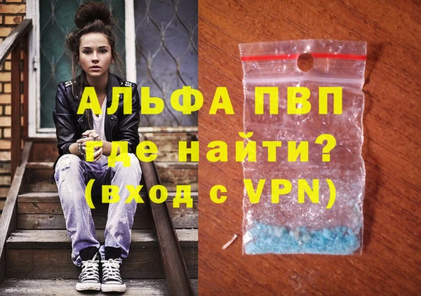 PSILOCYBIN Бородино