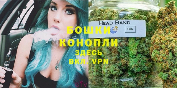 PSILOCYBIN Бородино